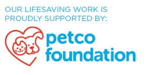 supported by Petco Foundation Site Badge - White-2